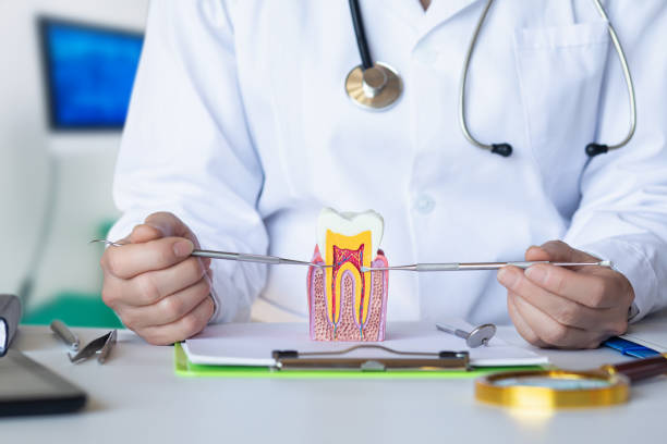 Best Emergency Root Canal Treatment in Jackson Center, OH